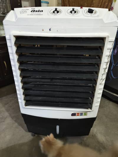Super Asia Plastic Body Air cooler For Sale