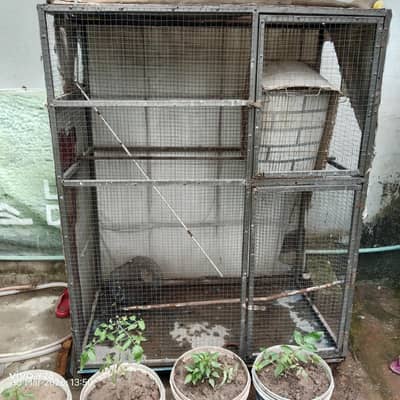 cash for sale 3 foot by 5 foot