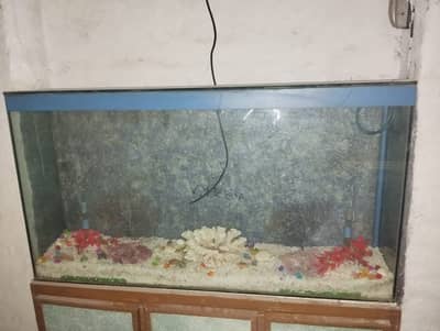 fish aquarium for sale
