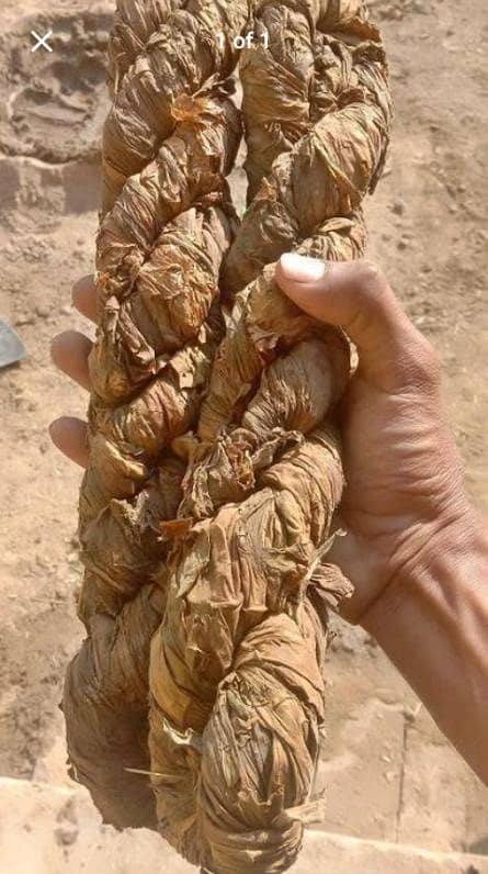 کڑوا تمباکو 1