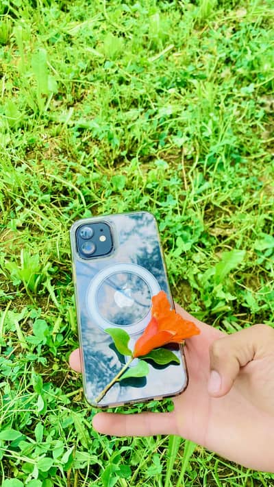 Condition 10/10 I phone 12