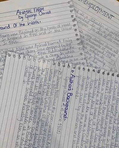 Hand Writing Assignment Work Available For Male And Female