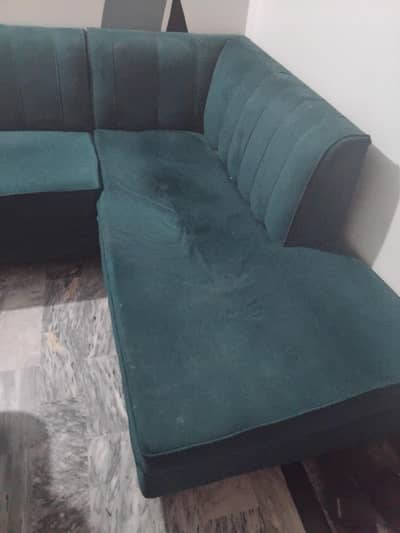 Attractive  Colour  shap Sofa