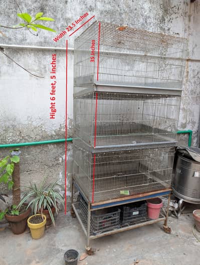 Bird Cage for Sale – Spacious & Durable
