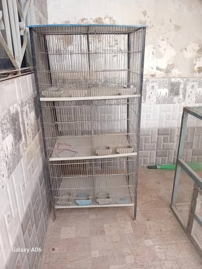 birds cage