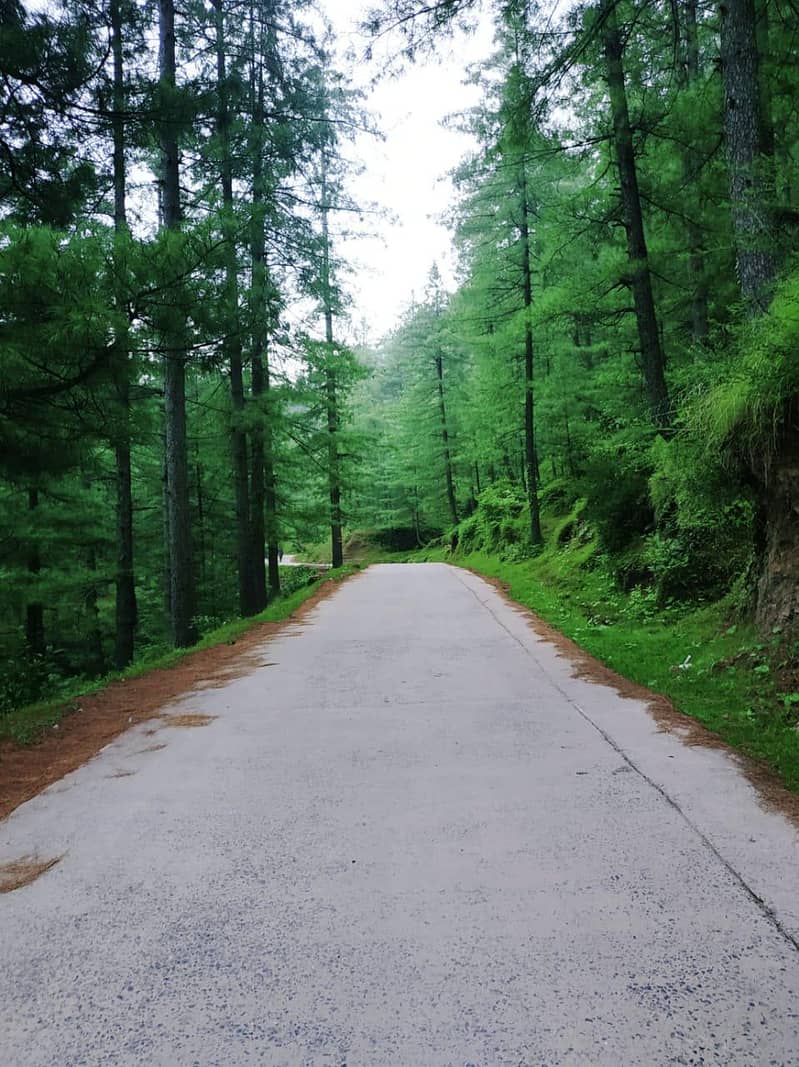 گھر میں کام کے لیے فی میل درکار ھے 5