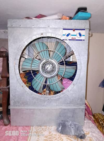 Lqhori Coller Good Condition