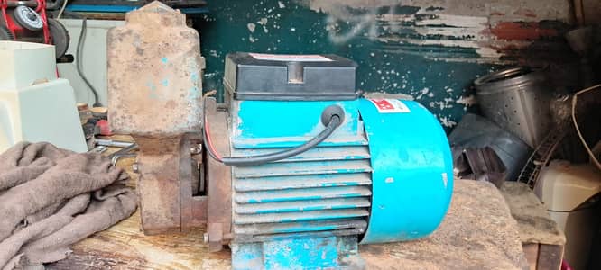 self suction pump 03016759282