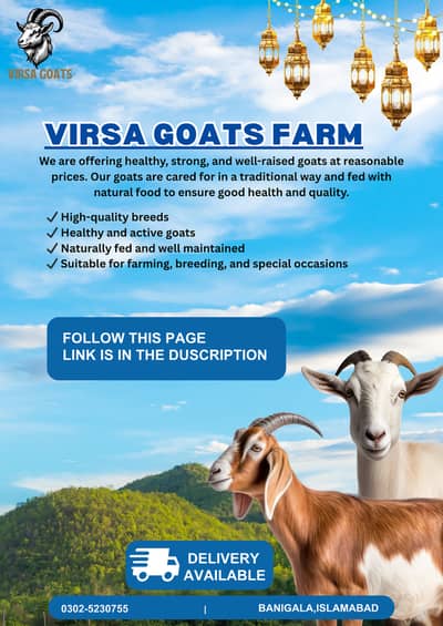 Virsa Goats Farm
