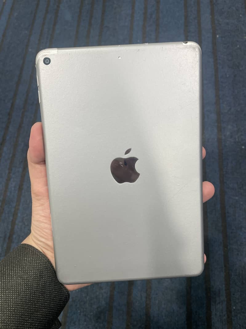 Ipad mini 5 0