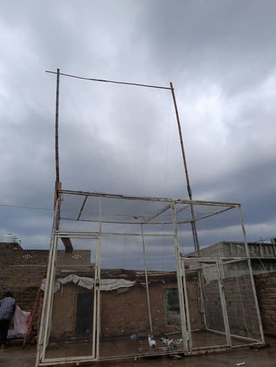 pigeon cage jall for sale