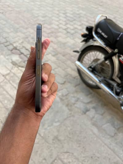 13 pro pta proved 128 gb dual sim