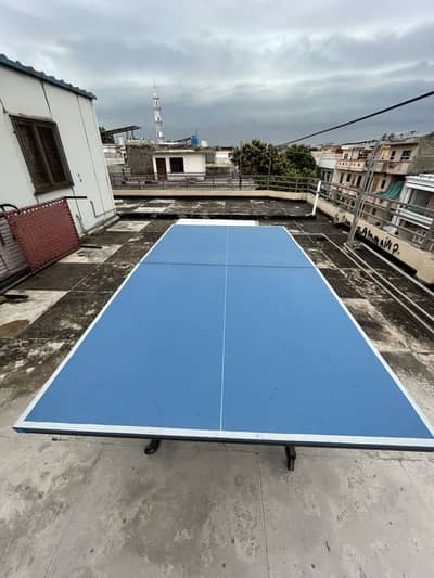 Table Tennis Table