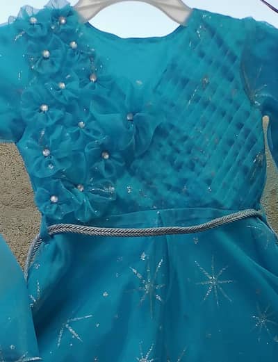 beautiful organza fancy frock