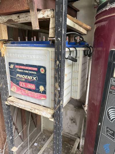 Phoenix and Osaka 8 Tall Tubular Batteries