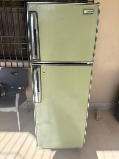 National Double Door 1985 Iconic Avocado Green