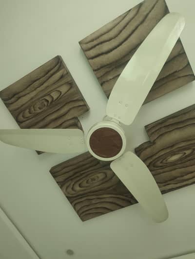 Royal Fan only 2 or Three season use within garenti like brand new