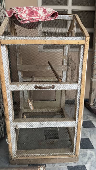 Birds Cage