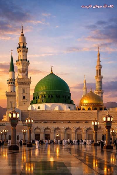 car animals motor bike sport  game