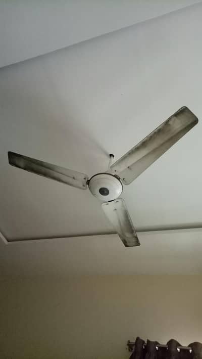 Ceiling Fans