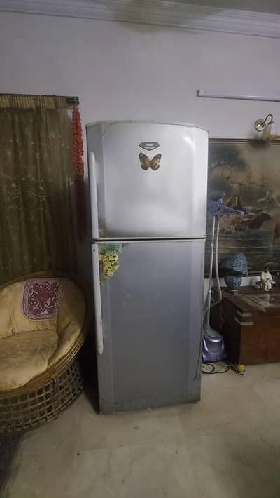 Haier fridge