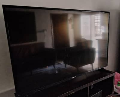 Eco Star Led tv 55 inches