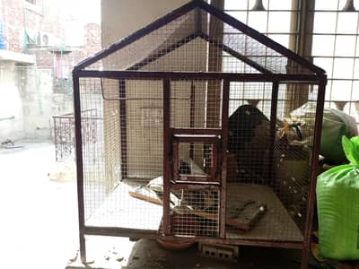 Parrot Cage
