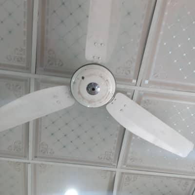 ceiling fans