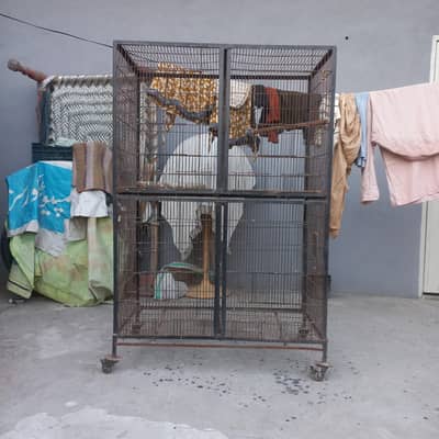 Single Portion Cage, Double Portion Cage,  Big Colony Cage