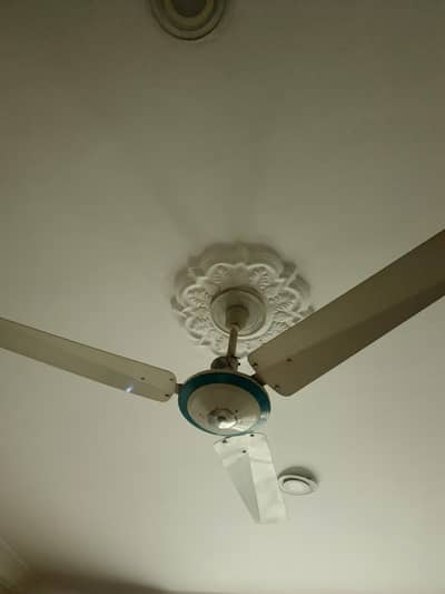2 ceiling fans