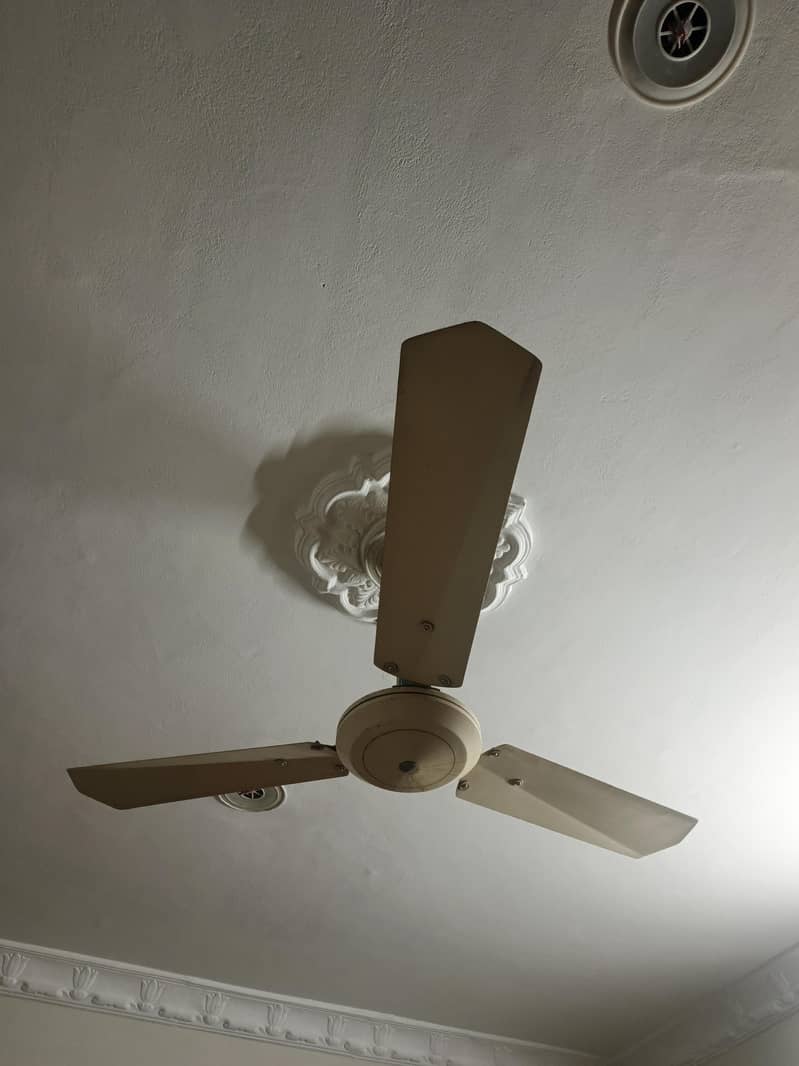 2 ceiling fans 1
