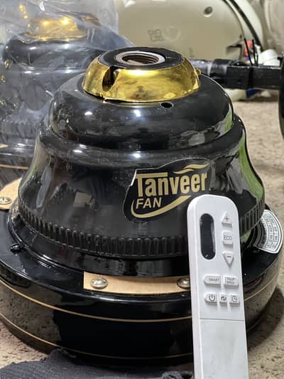 TANVEER FAN 