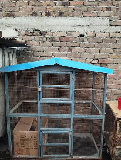 Birds cage