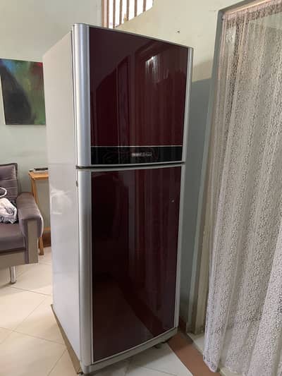 Orient Glass Door Refrigerator