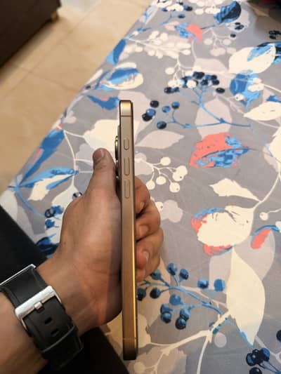 16 Pro Max 256 FU 10/10