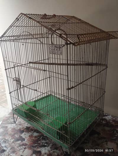 Bird  Cage