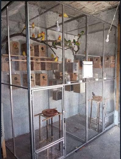 Single Portion Cage, Double Portion Cage,  Big Colony Cage