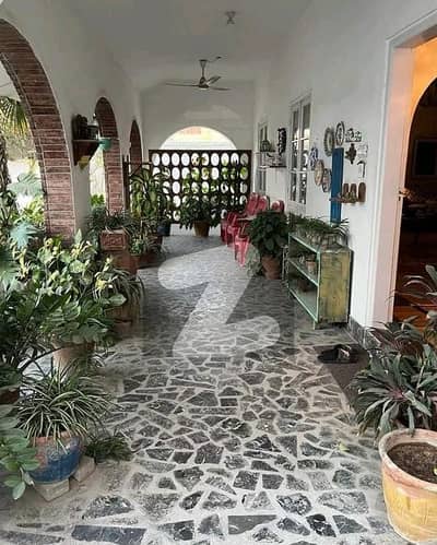 Bungalow For Rent For Commercial Use KDA Scheme 1 Near Spar Store