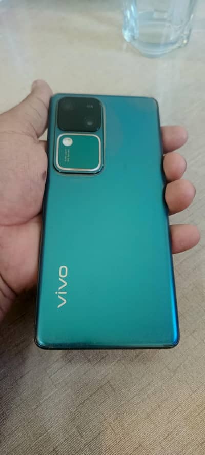 نیو فریش پیس