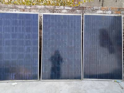 Canadian Solar 240 watt in used