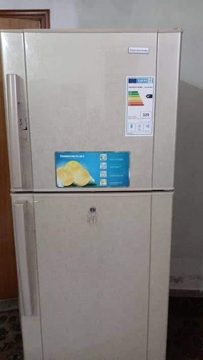 Fridge with Freezer