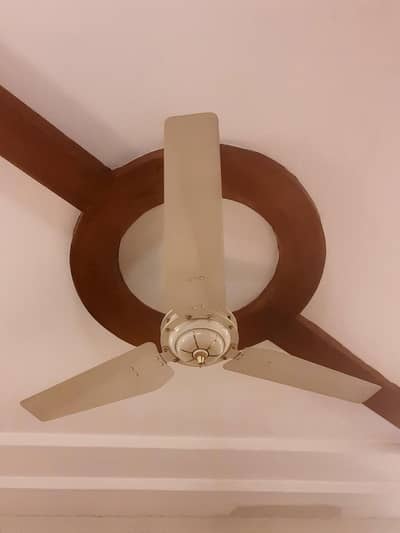 ROYAL FAN FOR SALE