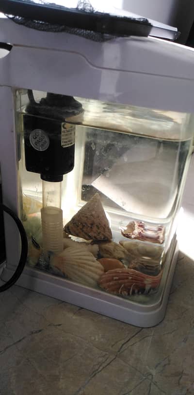 aquarium for sale imported