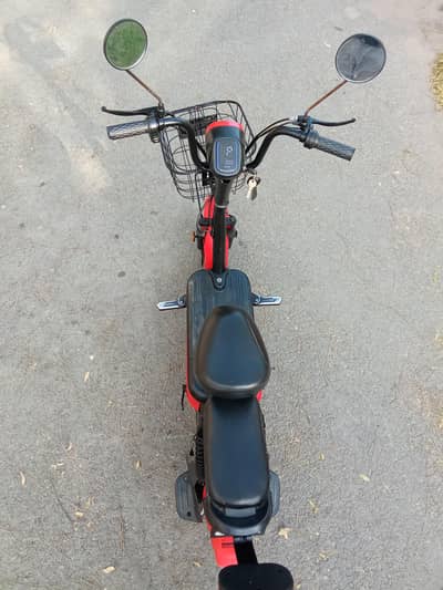 Evee Flipper for sell