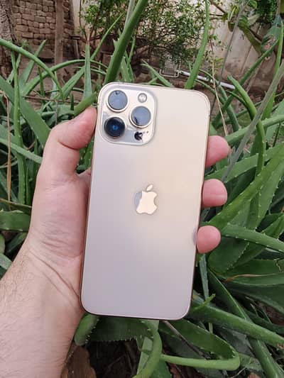 iphone 13 pro max 512gb aprvd 100 health 10by10 Exchange possible