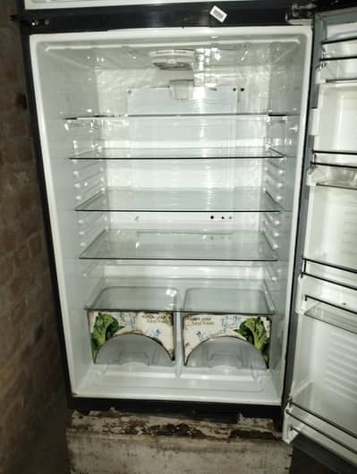 double door fridge lodge size.