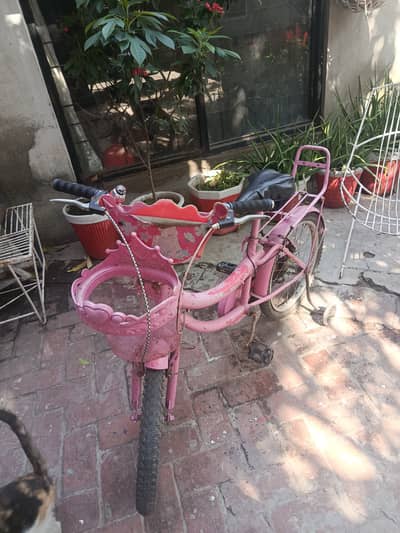 Girl bicycle