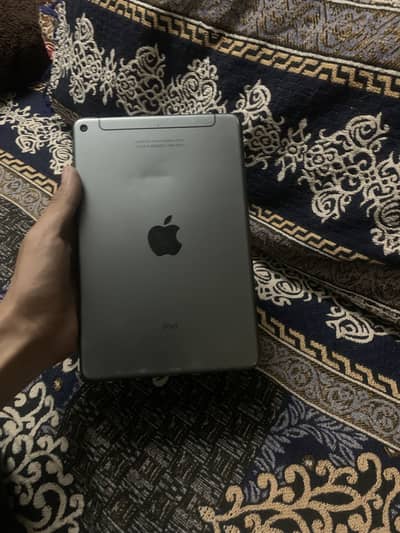 Ipad Mini 5 256Gb