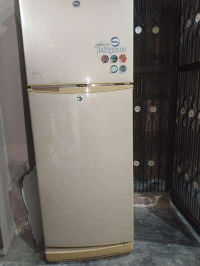PEL REFRIGERATOR 10/10