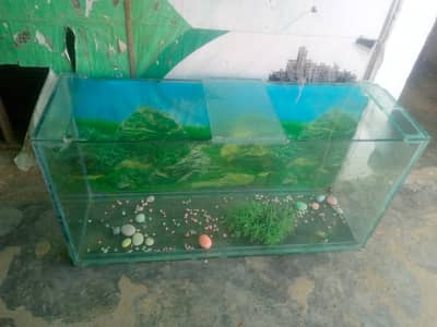 Fosh aquarium